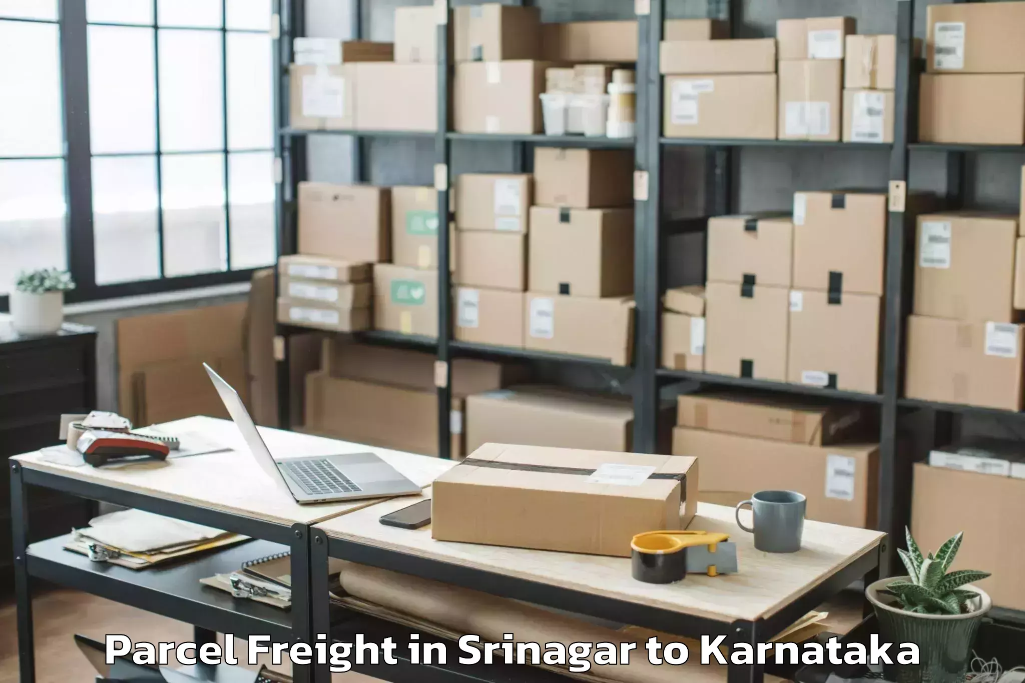 Book Srinagar to Lingsugur Parcel Freight Online